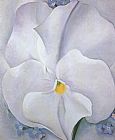 Georgia O'Keeffe White Pansy painting
